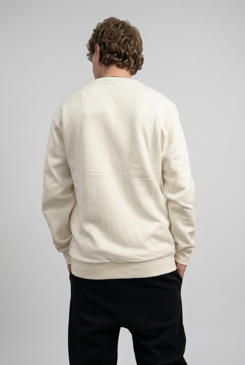 FELPA GIROCOLLO DS2 LOGO TRASVERSALE